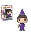 805 STRANGER THINGS FUNKO POP WILL THE WISE